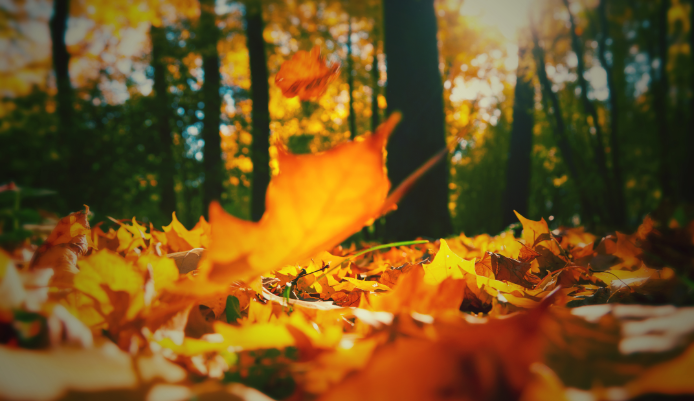 Depositphotos_10568754_xl-2015 copy Depositphotos_10568754_xl-2015 copy